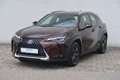 Lexus UX 250h Launch Edition Braun - thumbnail 1