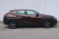 Lexus UX 250h Launch Edition Braun - thumbnail 6
