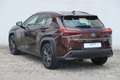 Lexus UX 250h Launch Edition Braun - thumbnail 3