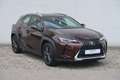 Lexus UX 250h Launch Edition Braun - thumbnail 7