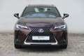 Lexus UX 250h Launch Edition Braun - thumbnail 8