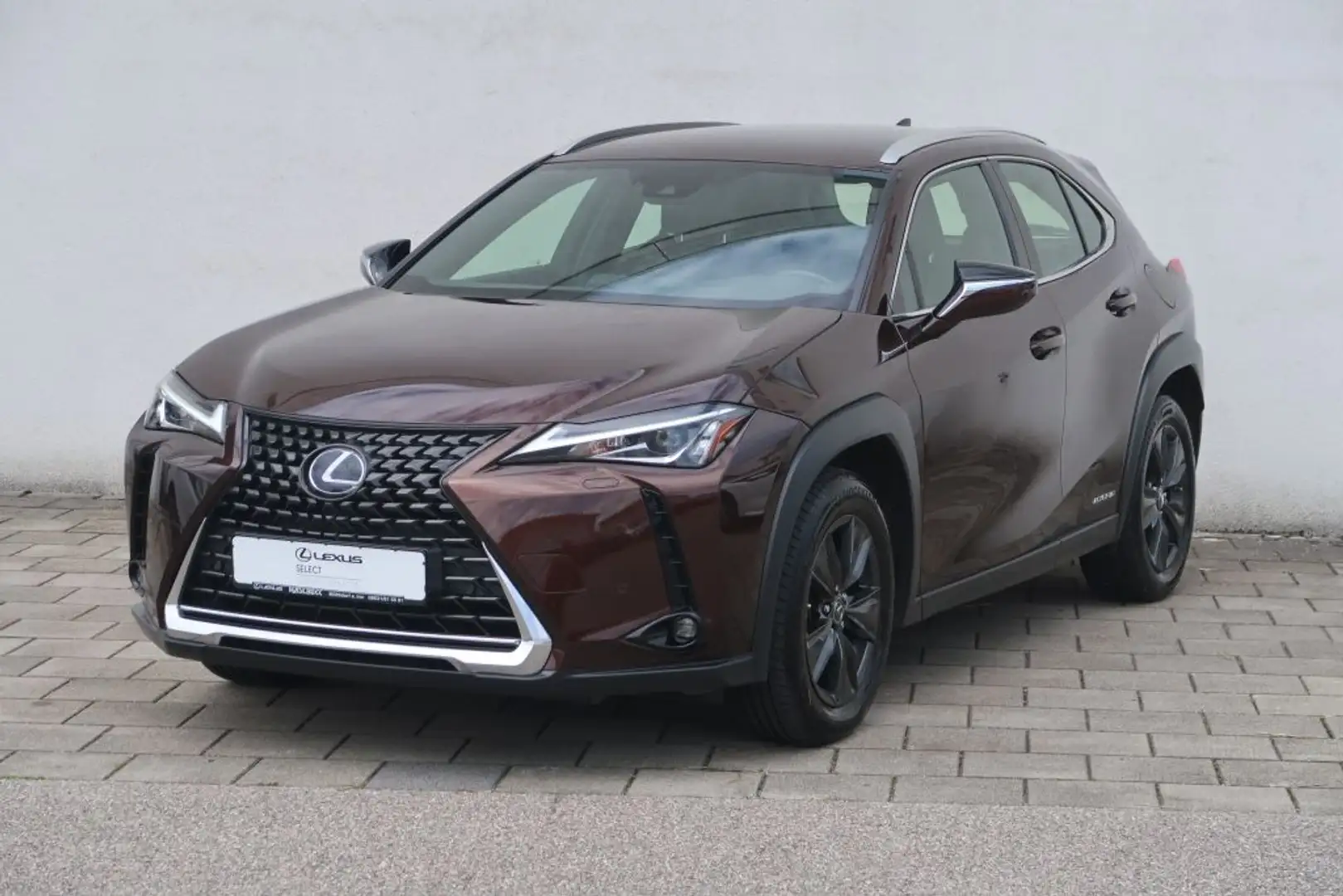 Lexus UX 250h Launch Edition Bruin - 1