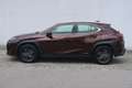 Lexus UX 250h Launch Edition Braun - thumbnail 2