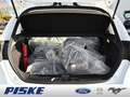 Ford Fiesta Cool&Connect KLIMA SYNC Weiß - thumbnail 19
