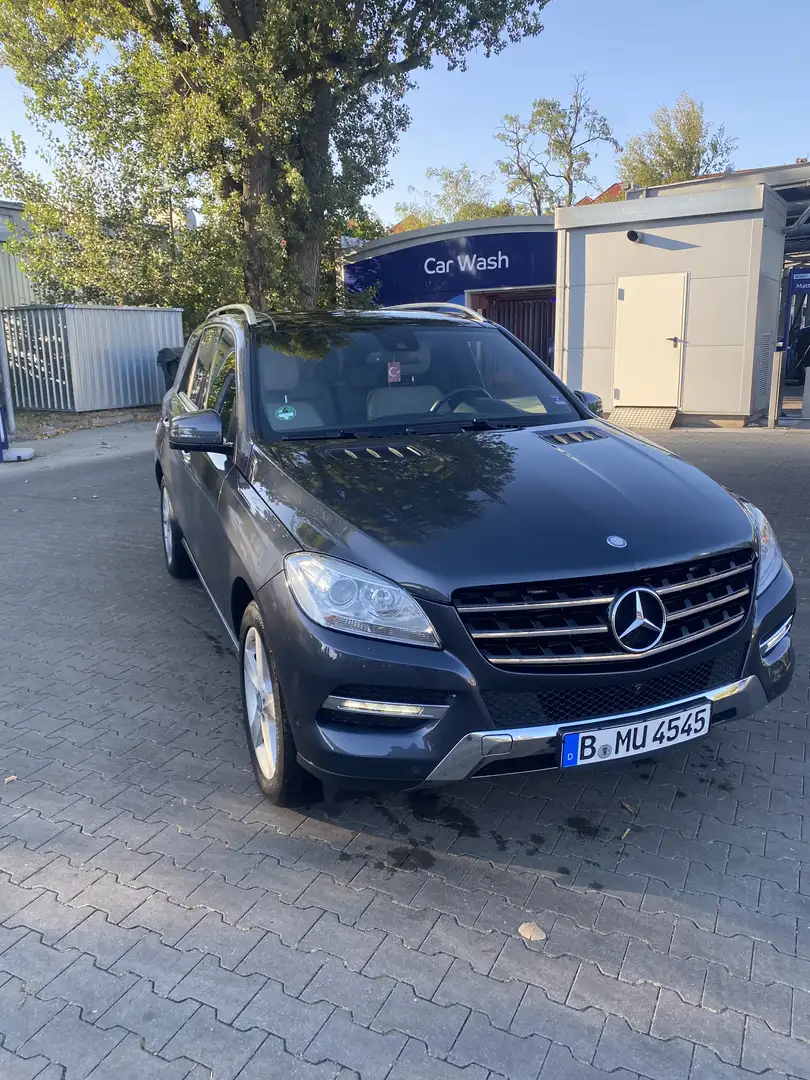 Mercedes-Benz ML 350 ML 350 CDI BlueTec (166.024) Grau - 1