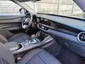 Alfa Romeo Stelvio Stelvio 2.2 t Business rwd 160cv auto Wit - thumbnail 6