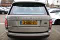 Land Rover Range Rover 3.0 TDV6 HSE EXPORT PRICE EX BPM! Jaune - thumbnail 5