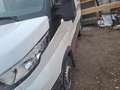 Iveco Daily Daily 35 S 14 C 3000 2,3 HPT Weiß - thumbnail 2