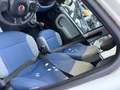 Fiat New Panda lounge 1.2 bemz/gpl - thumbnail 5