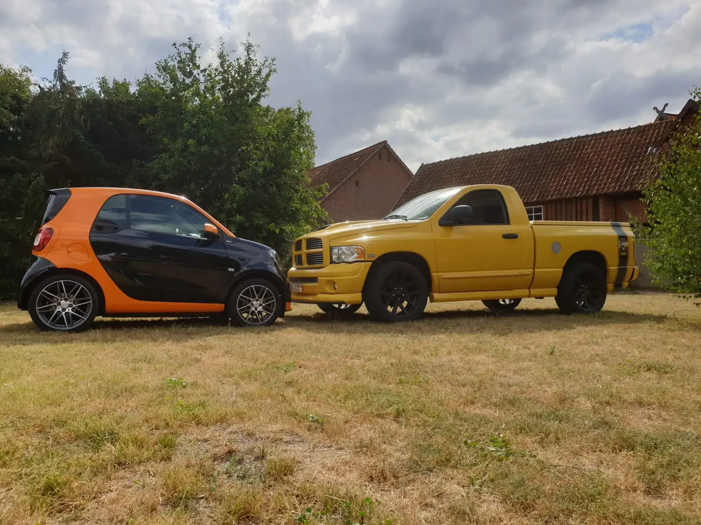 Dodge RAM Rumble Bee Gelb - 1