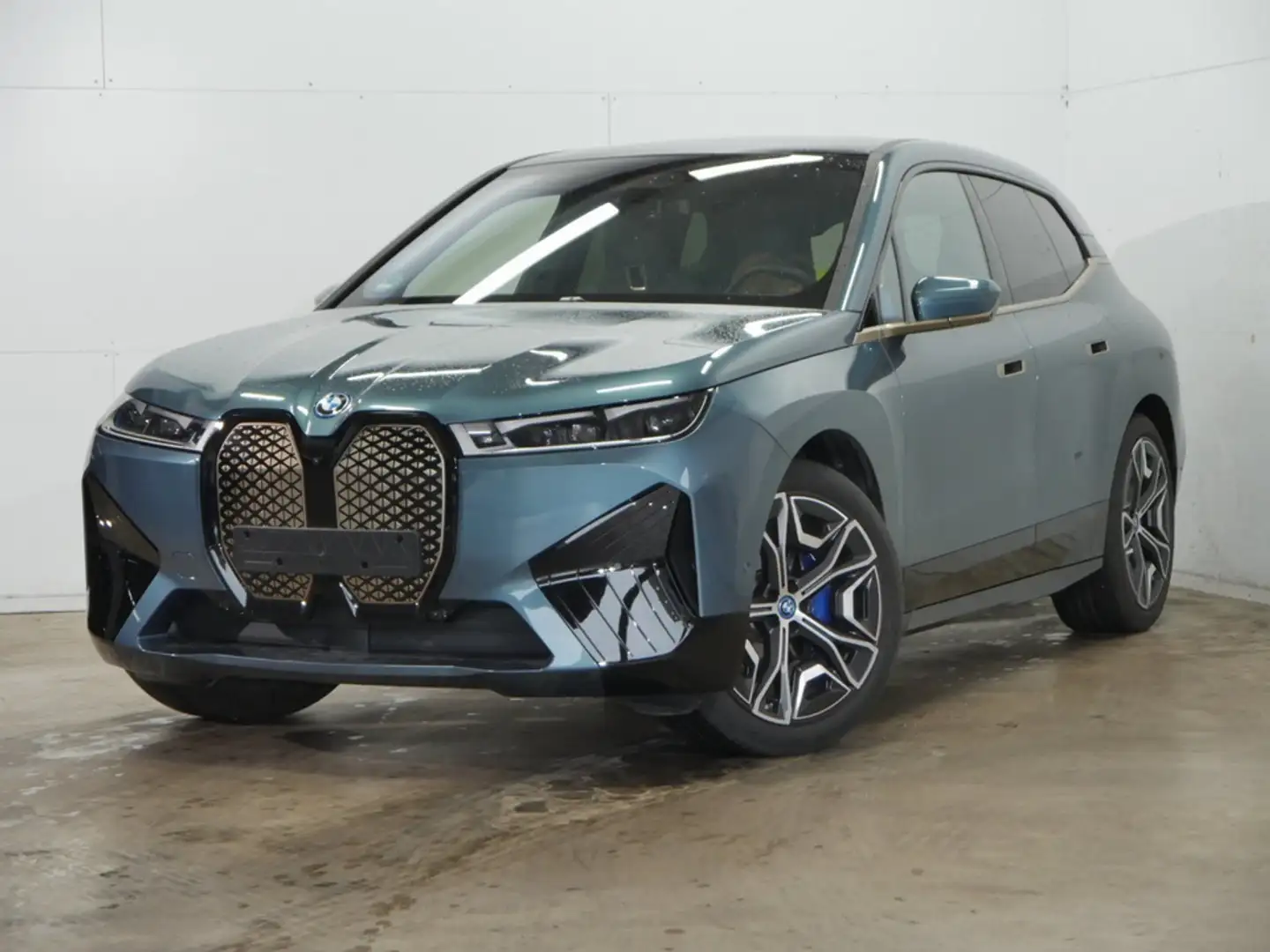 BMW iX xDrive50 Klimaaut. AHK Komfortzugang Blau - 2