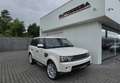 Land Rover Range Rover Sport 3.0 TdV6 HSE *EERSTE EIGENAAR* Weiß - thumbnail 1