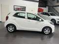 Kia Picanto 1.0 **5-Türig*Klima*Bluetooth** Weiß - thumbnail 6