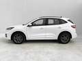 Ford Kuga 2.5 Duratec FHEV ST-Line AWD Aut. Blanco - thumbnail 2