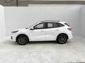 Ford Kuga 2.5 Duratec FHEV ST-Line AWD Aut. Blanco - thumbnail 9