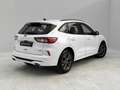 Ford Kuga 2.5 Duratec FHEV ST-Line AWD Aut. Blanco - thumbnail 5