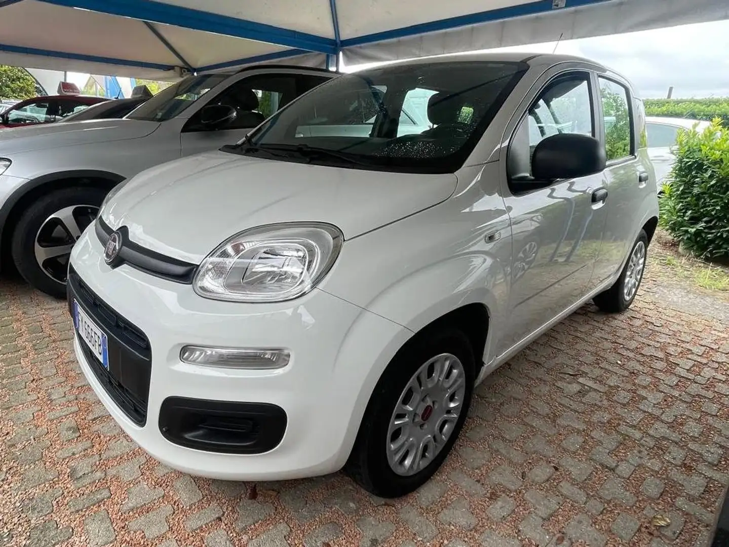 Fiat Panda Panda 1.2 Easy Bianco - 2