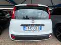 Fiat Panda Panda 1.2 Easy Bianco - thumbnail 4