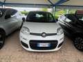 Fiat Panda Panda 1.2 Easy Bianco - thumbnail 1
