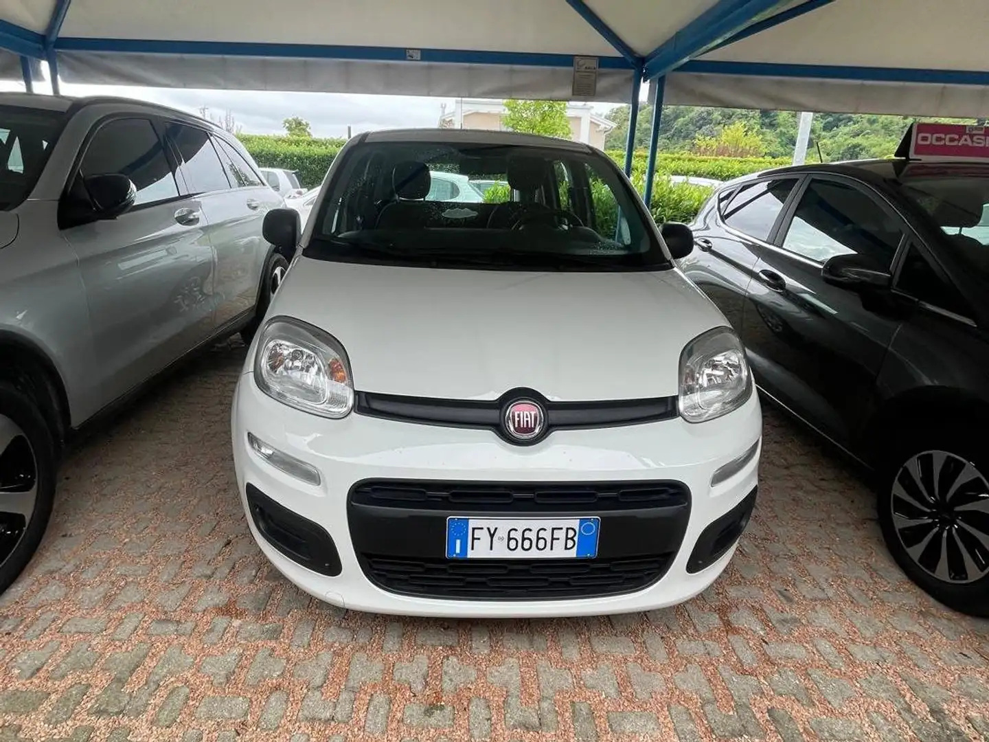 Fiat Panda Panda 1.2 Easy Bianco - 1
