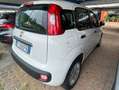 Fiat Panda Panda 1.2 Easy Bianco - thumbnail 3
