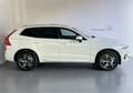 Volvo XC60 R Design AWD *LED*ACC*360°*PANO*H&K*LenkradH* Weiß - thumbnail 4