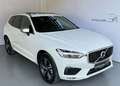 Volvo XC60 R Design AWD *LED*ACC*360°*PANO*H&K*LenkradH* Weiß - thumbnail 1