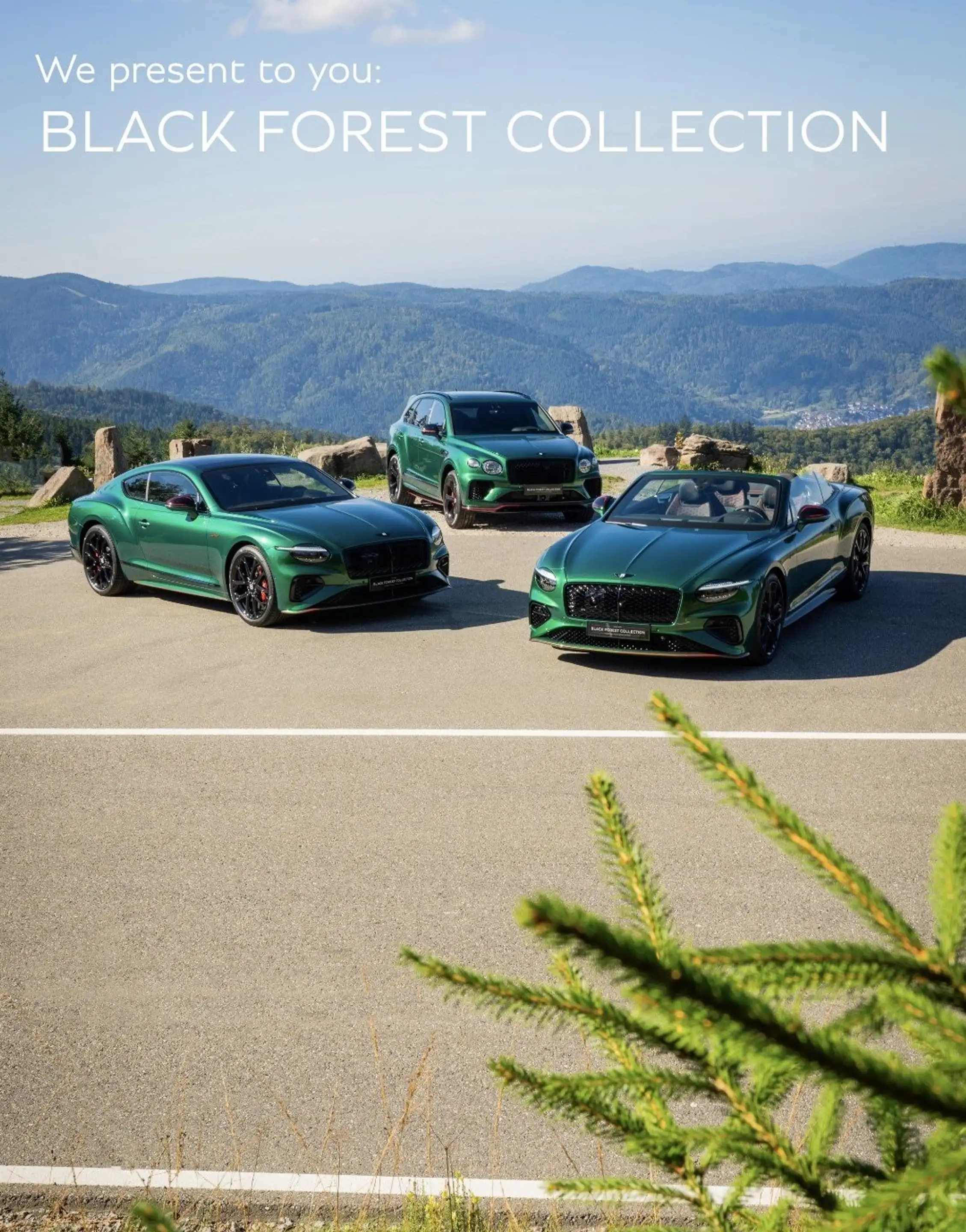 Bentley Bentayga S V8 "Unikat" Black Forest Edition ( 1 of 3 ) — photo 3