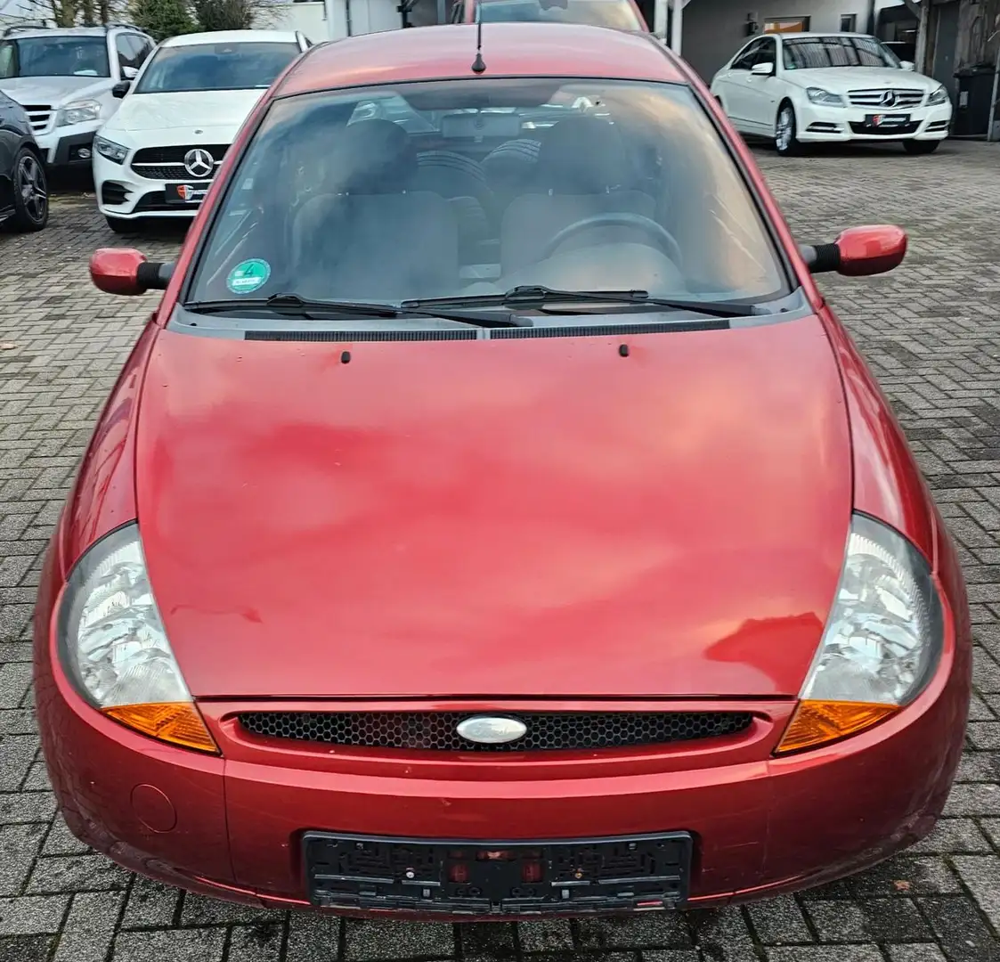 Ford Ka/Ka+ 1,3 51kW Fun Rot - 2