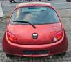 Ford Ka/Ka+ 1,3 51kW Fun Rot - thumbnail 6