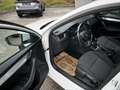 Skoda Octavia Kombi Ambition Erdgas G-Tec (CNG) Weiß - thumbnail 9