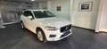Volvo XC60 D4 AWD Momentum Automatik Kamera AHK Weiß - thumbnail 1