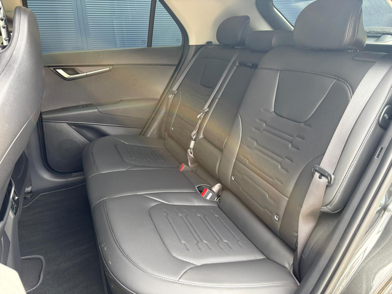 Kia e-Niro 64,8 kWh 204pk Aut DynamicPlusLine | Stoel en stuu — photo 10
