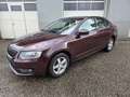 Skoda Octavia 1,6 Elegance TDI DSG *Topzustand* Rot - thumbnail 13