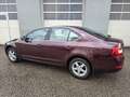 Skoda Octavia 1,6 Elegance TDI DSG *Topzustand* Rot - thumbnail 18