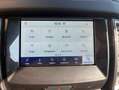 Ford Ranger RangerVII2019 2.0ecobluedoublecabWildtrak213cvauto Noir - thumbnail 23