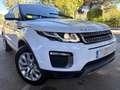 Land Rover Range Rover Evoque 2.0TD4 SE 4WD Aut. 150 Wit - thumbnail 1