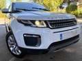 Land Rover Range Rover Evoque 2.0TD4 SE 4WD Aut. 150 Wit - thumbnail 2