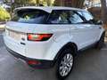 Land Rover Range Rover Evoque 2.0TD4 SE 4WD Aut. 150 Wit - thumbnail 9