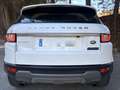 Land Rover Range Rover Evoque 2.0TD4 SE 4WD Aut. 150 Wit - thumbnail 11