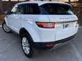 Land Rover Range Rover Evoque 2.0TD4 SE 4WD Aut. 150 Wit - thumbnail 7