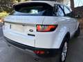 Land Rover Range Rover Evoque 2.0TD4 SE 4WD Aut. 150 Wit - thumbnail 10