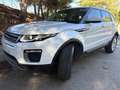 Land Rover Range Rover Evoque 2.0TD4 SE 4WD Aut. 150 Wit - thumbnail 6