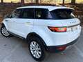Land Rover Range Rover Evoque 2.0TD4 SE 4WD Aut. 150 Wit - thumbnail 8