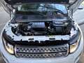 Land Rover Range Rover Evoque 2.0TD4 SE 4WD Aut. 150 Wit - thumbnail 29