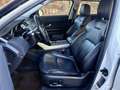 Land Rover Range Rover Evoque 2.0TD4 SE 4WD Aut. 150 Wit - thumbnail 14