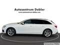 Audi A4 Avant 35 TFSI AHK 18Zoll Navi PDC EURO6 Klima Weiß - thumbnail 5