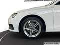 Audi A4 Avant 35 TFSI AHK 18Zoll Navi PDC EURO6 Klima Weiß - thumbnail 6