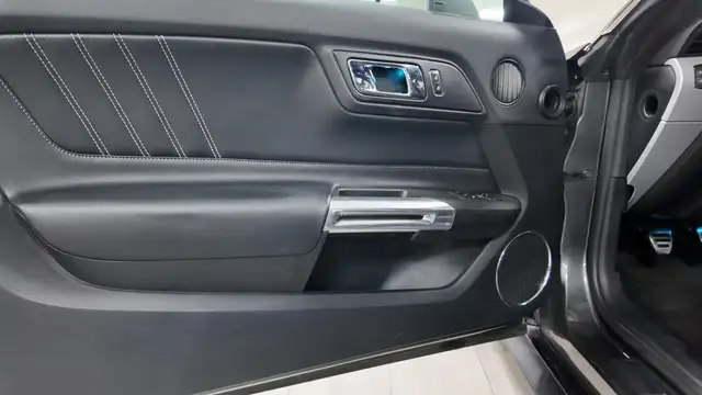 Ford Mustang view 14