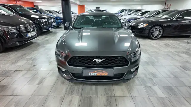 Ford Mustang view 2